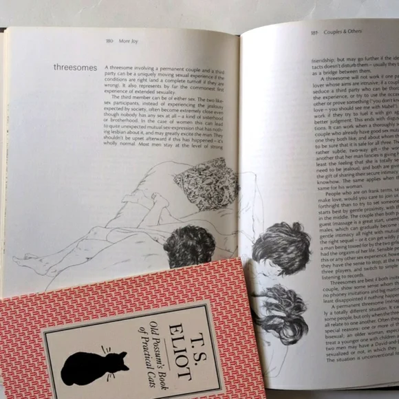 More Joy of Sex - - Picture 11 of 16